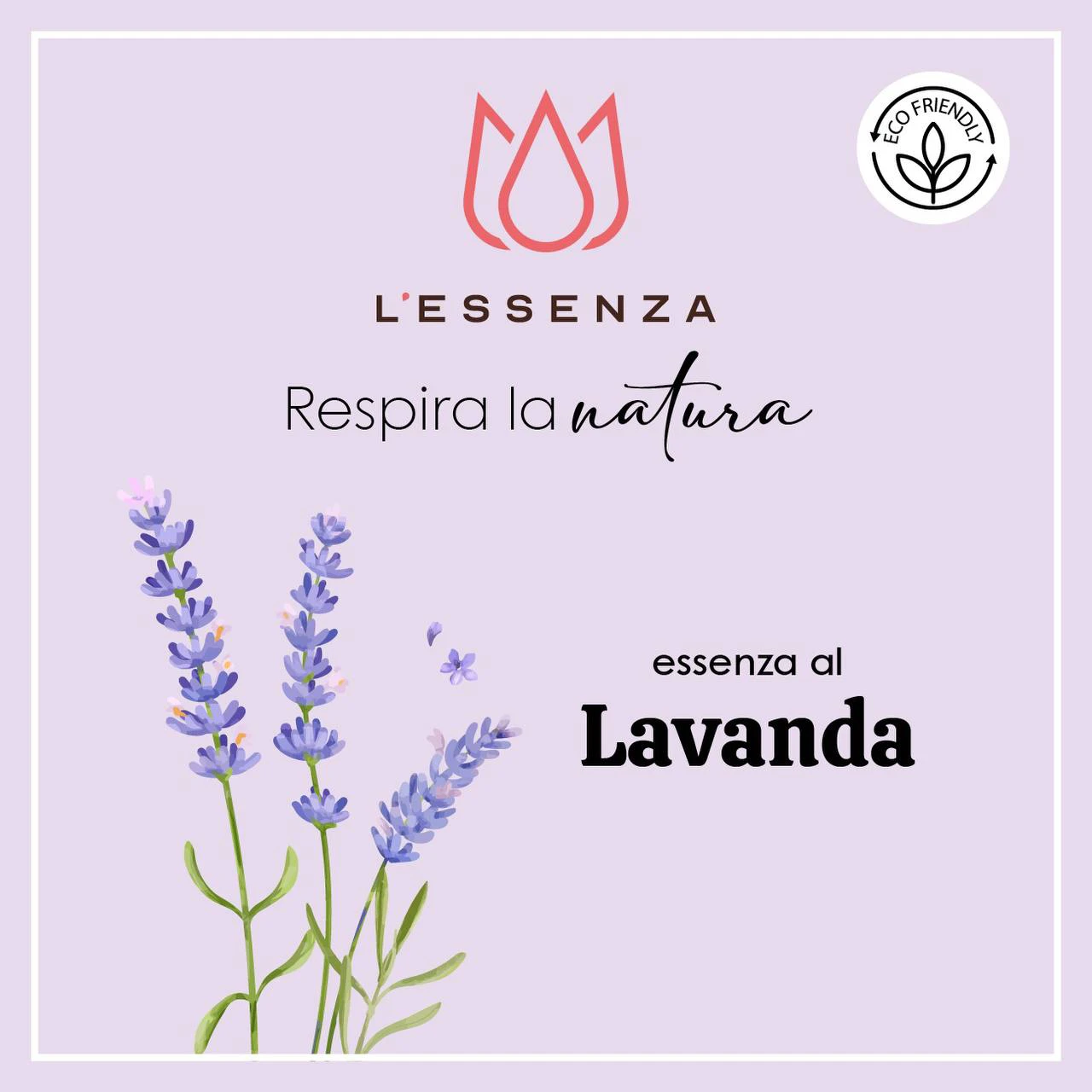 Lavanda