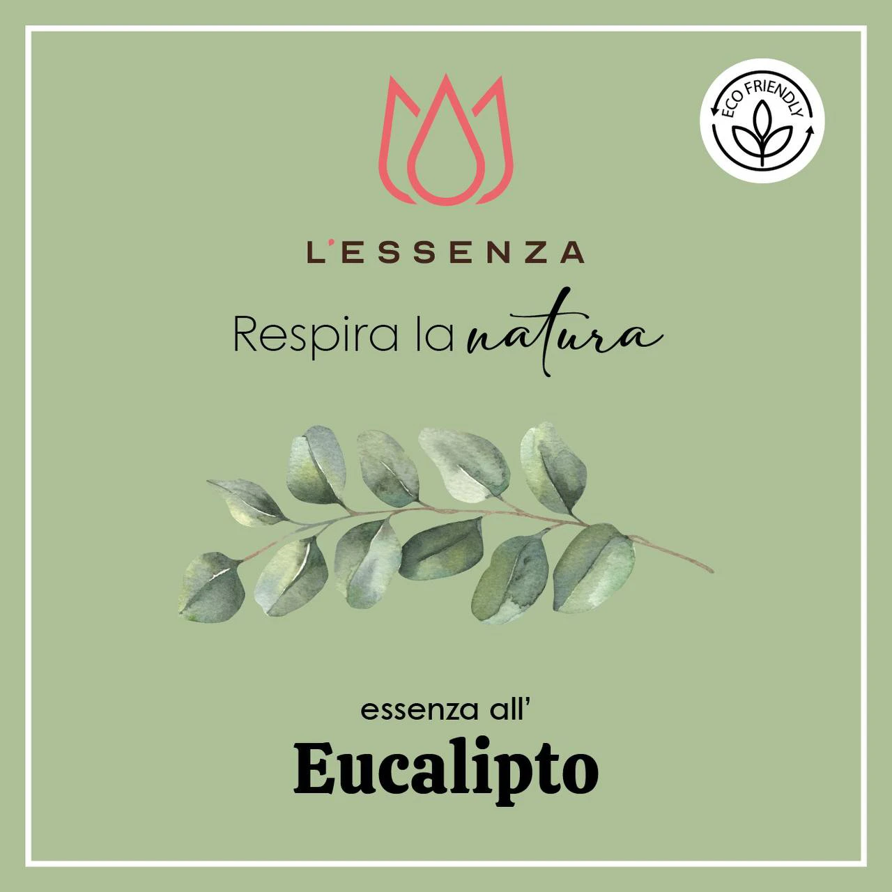 Eucalipto