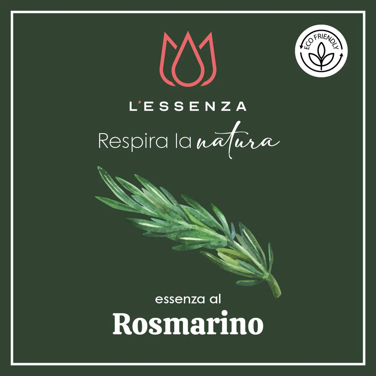 Rosmarino