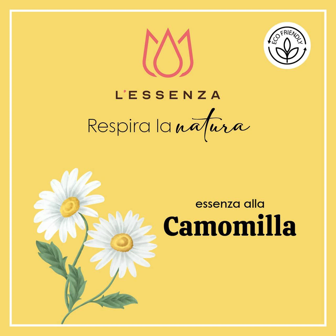 Camomilla