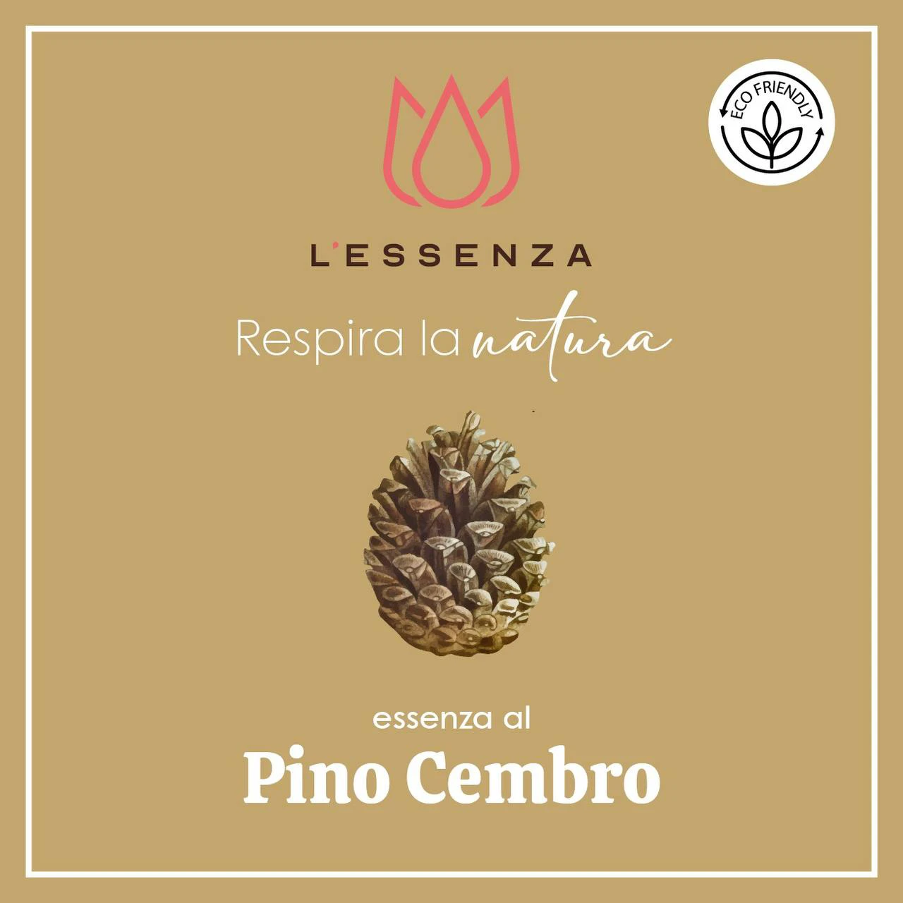 Pino Cembro