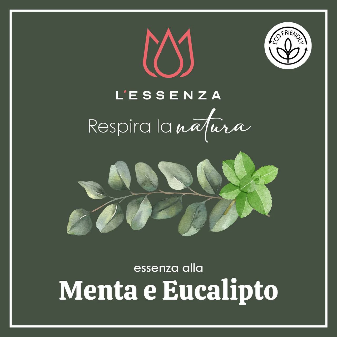 Menta e Eucalipto